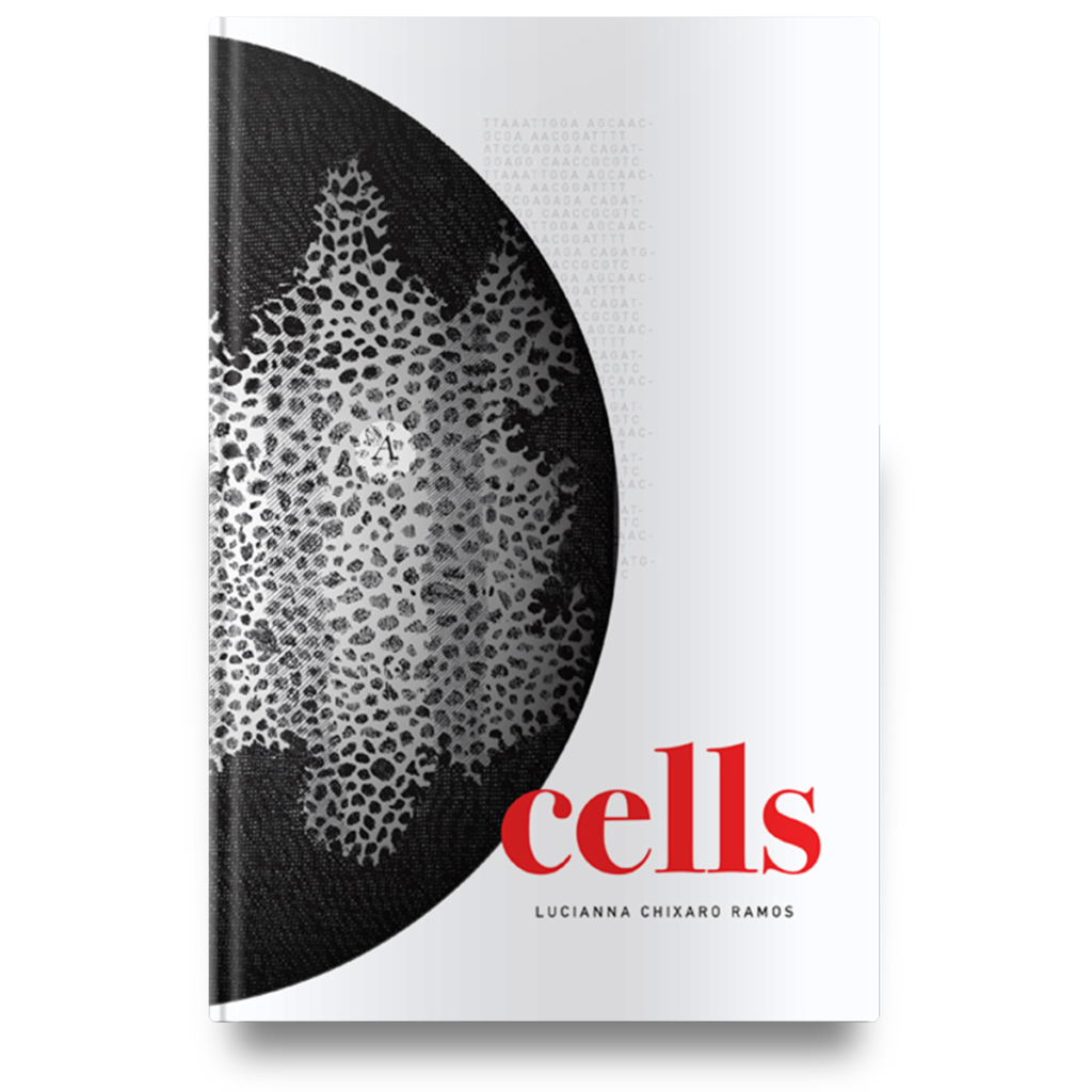 Cells by Lucianna Chixaro Ramos