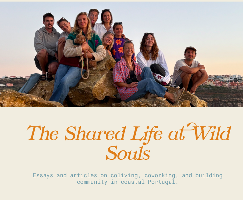 Wild Souls Coliving Blog The Shared Life